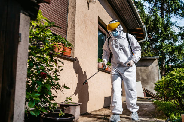Reliable Wartburg, TN Pest Control Solutions