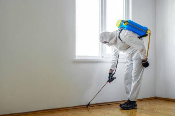 Best Rat Extermination Near Me  in Wartburg, TN