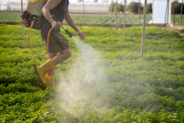 Best Affordable Pest Control Services  in Wartburg, TN