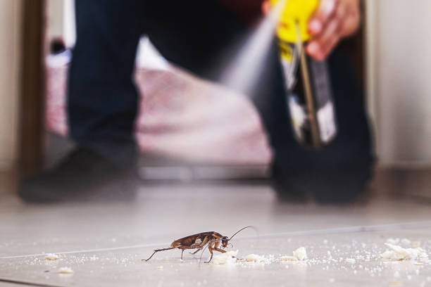 Best Affordable Pest Control Services  in Wartburg, TN