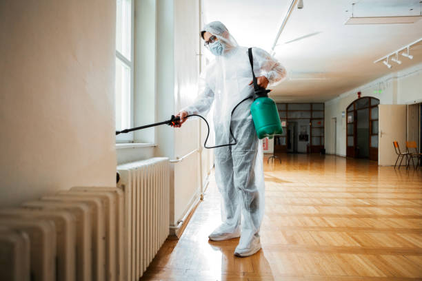 Wasp Removal Services in Wartburg, TN