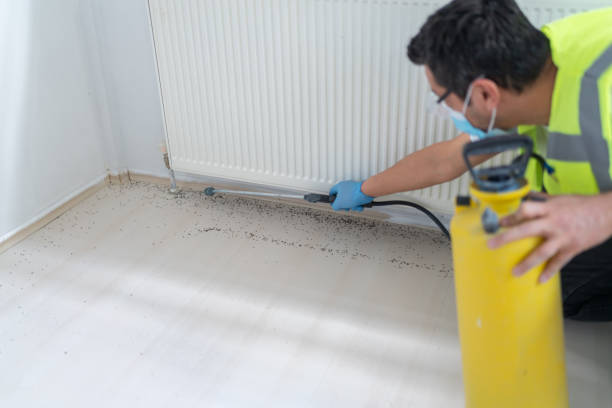 Best Local Pest Control Services  in Wartburg, TN