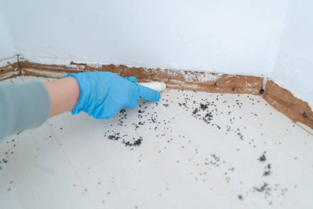 Best Pest Prevention Services  in Wartburg, TN