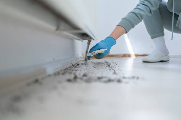 Best Commercial Pest Control Services  in Wartburg, TN