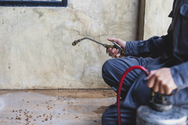 Best Exterminator Services  in Wartburg, TN